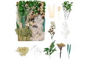 BOLOSA Natural Dried Flowers, Pressed Flowers Real Dried Pressed Flowers and Leaves Dried Flowers Set for Scrapbooking DIY Candle Resin Jewelry Crafts Card Making (Green)