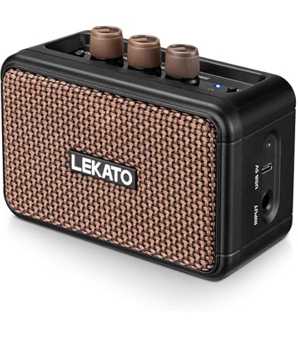 Electro Harmonix 5mm Power Amp : Amazon.in: Musical Instruments