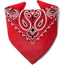 Lot De Bandana, Motif Cachemire Fichu Bandanas, Bandanas