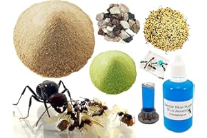 ANTHILLSHOP Kit Reemplazo -【Hormigueros de Arena】 -1kg - Néctar 50ml- Colonia de Hormigas Gratis, Piedras Decorativas - Semillas - Kit Alimentación Completa Incluida