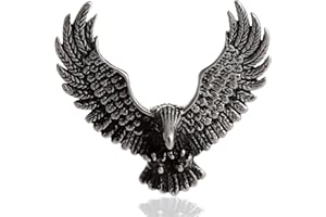 DonDon Pendentif style biker en forme d'aigle pour homme Acier inoxydable Pochette en velours noire incluse