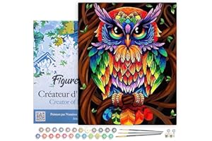 Figured'Art Peinture par Numéro Adulte avec Cadre Hibou coloré - Activité Manuelle Kit de Loisir Créatif DIY Numéro d'Art Complet - 40x50cm toile tendue sur châssis