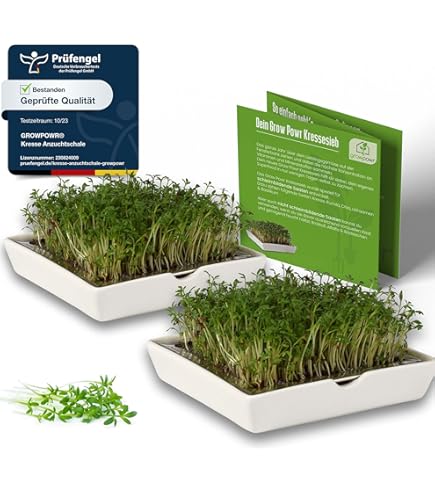 kweekkast voor groenten kruiden en microgreens