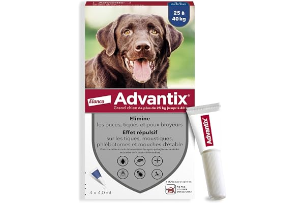 Advantix Grand Chien entre 25 et 40 kg – Pipettes pour chien contre 6 parasites – Traitement en pipette pour une protection en continu pendant 4 semaines – 4 x 4,0 ml
