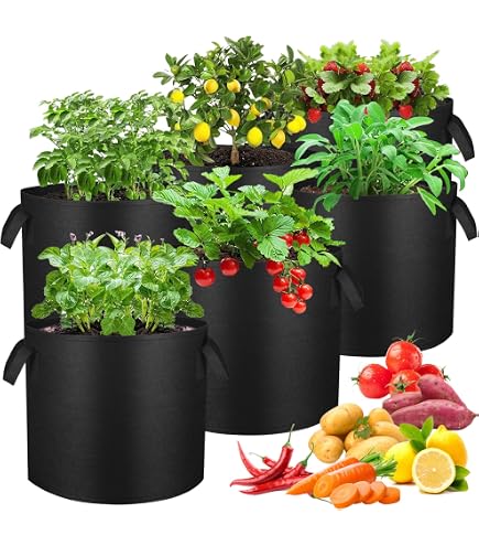 Sac De Plantation 20L - Lot De 5 Pots Géotextiles Avec Fenêtre - Pour Fruits, Fleurs, Herbes - Noir