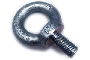 BEFESTIGUNGSTECHNIK F.R. Ringschraube galvanisch Verzinkt C15 - M16 - Traglast: 700kg - 5 Stück - [ Größe Wählbar ] Kranöse Zurröse Ösenschraube Augenschraube Augenbolzen Ringbolzen ähnl. DIN 580 (M16)