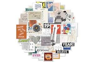 CANVERLENS Confezione di adesivi pop art francesi 55 pezzi decalcomanie in vinile impermeabili per bottiglie d'acqua, computer portatili, auto, skateboard, decorazioni per caverne da uomo