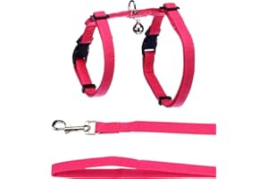 Imbracatura con Guinzaglio Flamingo Lomi – Fuchsia | Per Gatti di Taglia Normale | A: 22-36 cm, B: 27-46 cm, C: 110 cm x 10 mm x 2 mm – Regolabile, Comoda, con Design Elegante