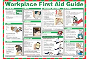 Safety First Aid Group Póster de guía de primeros auxilios en el trabajo - laminado (59 x 42 cm)