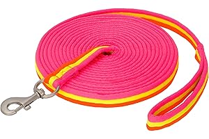 START ENJOY THE RIDE Start Longierleine für Reitsport – Pferdelonge 8 m aus Nylon – Softlonge mit Handschlaufe & Karabiner – rutschfeste Longe für Pferd – Robuste Longierleine für Training (Neonpink/Neongrün/Neonorange)