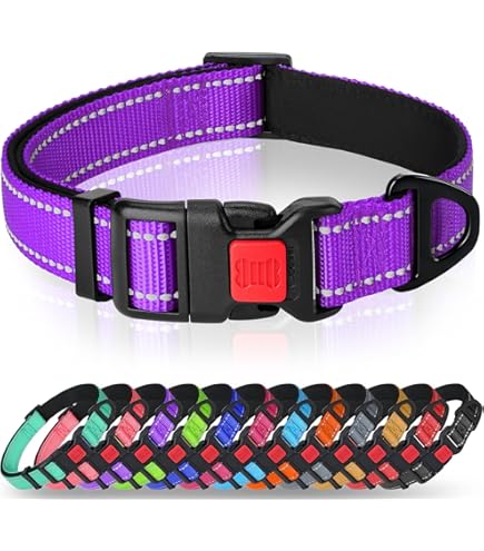 Slip Lead Dog Leash, 5FT Reflective Slip Rope, Puppy Training Walking