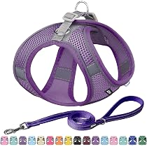 Step-in Hundegeschirr (No-Pull) – Atmungsaktives Netz, Reflektierend, Gepolstert, Verstellbar Für Kleine & Mittlere Hunde/Katzen
