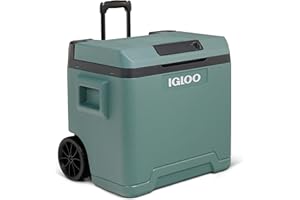 Igloo Glacière électrique IE42 avec poignée télescopique et roulettes pour Voiture et Prise de Courant, 42 L, 12V et 230V, Vert