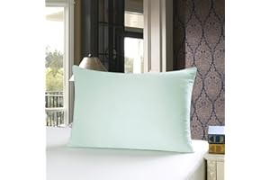 townssilk Dwustronna poszewka na poduszkę, 100% jedwabiu 19 mm, z ukrytym zamkiem błyskawicznym, jasnozielona, 50 x 75 cm