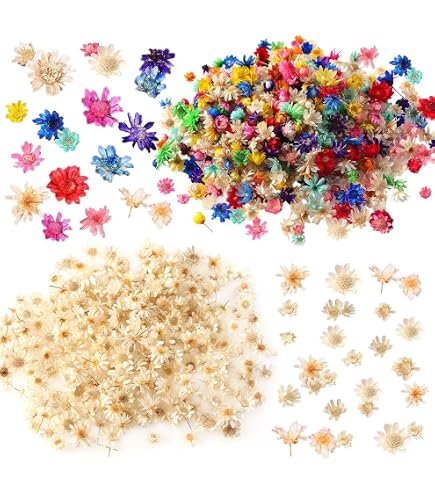 6 Bocaux Fleurs séchées à ongles Mini pétales de fleurs Autocollants pour ongles Résine naturelle véritable Fleurs sèches Autocollants Fournitures 3D Artisanat Nails Art Designs Accessoires