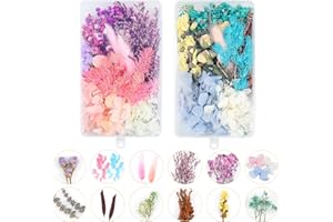 Dreamtop Fiori secchi naturali fai da te Set di fiori secchi naturali misti Foglie naturali colorate Fiore secco reale per l'artigianato artistico fai da te Carte che fanno fai da te Resina 2 scatole