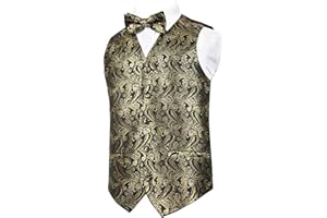 Alizeal Boys Classic Paisley Bow Tie and Suit Vest Set