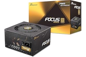 Seasonic Focus Gold 750 unidad de - Fuente de alimentación (750 W, 100 - 240 V, 50 - 60 Hz, 5 - 10 A, 100 W, 744 W)
