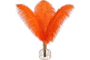 THARAHT 12 plumas de avestruz naranjas a granel naturales 16-18 pulgadas 40 cm - 45 cm para el Centro de la fiesta de bodas Gatsby Pascua y plumas de avestruz decoradas en el hogar