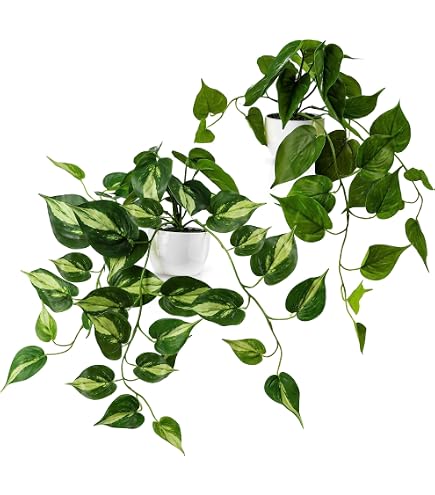 Easyplants Bambus Kunst-Hngepflanze 75 cm : Amazon.de: Kche, Haushalt &  Wohnen