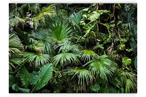 murando - Papier peint panoramique nature 350x256 cm - Revêtement mural décoration chambre salon - Design moderne - Gris vert - Jungle forêt feuilles nature palmiers tropical vert b-B-0312-a-a