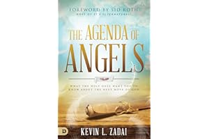 The Agenda of Angels: What the Holy Ones Want You to Know About the Next Move of God