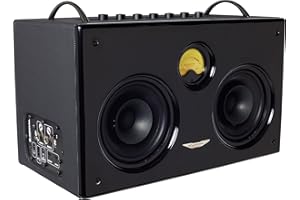 Ashdown B-Social-Black Amplificatore Wireless per Basso, Chitarra Elettrica e Acustica