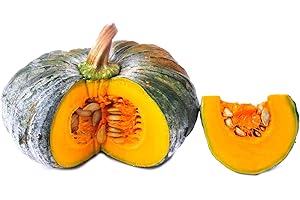 THAIFOODONLINE Fresh Thai Pumpkin Imported Weekly from Thailand