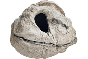 NATURAVIVA BASSANO GROTTA RIFUGIO APRIBILE per piccoli rettili e anfibi