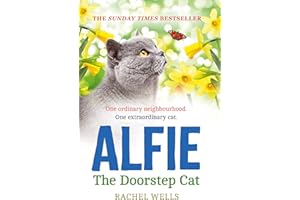Alfie the Doorstep Cat: The Sunday Times bestseller and perfect stocking filler: Book 1 (Alfie series)