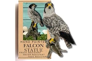 G&H DECOR Estatua de halcón peregrino - Figura Pintada a Mano - Detalle intrincado Adecuado para Uso en Interiores o Exteriores - Adorno de césped Resistente a la Intemperie - Escultura de Ave de rapiña