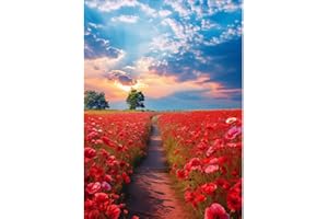 Siyurongg Kit per pittura diamante 5D, kit pittura digitale, Mosaico kit, Accessori arte diamante,Tema Paesaggio,Adatto per adulti bambini decorazione parete di casa Dono perfetto - 30x40cm