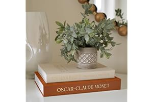 ZICOTO Beautiful Decorative Books - Set of 2 Linen Boxes Enhance Your Coffee Table, Bookshelf or Mantle Decor - Aesthetic Fake/Faux Books for Modern Home Decoration, Photo Storage and as a Keepsake Box