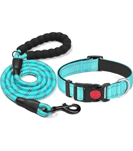 QRDA Collare E Guinzaglio Per Cani - Grigio Argento, Regolabile, In Pelle E Nylon Per Taglie Piccole, Medie E Grandi - Foto 4