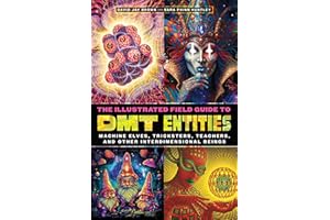 The Illustrated Field Guide to DMT Entities: Machine Elves, Tricksters, Teachers, and Other Interdimensional Beings