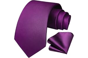 HISDERN Cravate Homme Mariage Fete Cravates et Mouchoirs pour hommes Cravate Classique Ensemble Carré de Poche,Couleur unie
