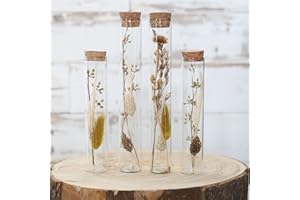 comforder Set di 4 fiori secchi in vetro con tappo in sughero, decorazione floreale secca, in bottiglia di vetro (naturale)