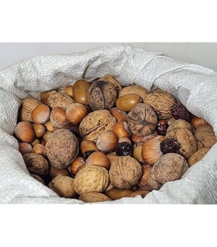 Lait En Poudre Fox Valley Day One 20/50 Pour écureuils Orphelins - 453.6 G - Formule Complète Sans Ajout