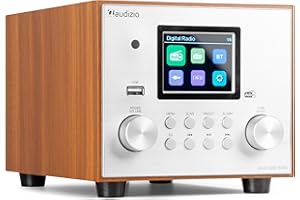 Audizio Vieste - DAB Radio mit Bluetooth, Digitalradio, 60 Watt Lautsprecher, DAB Plus Radio mit USB Anschluss, FM & UKW, Weckerfunktion, 20 Speicherplätze, Auto-Suchlauf, Küchenradio DAB mit Display