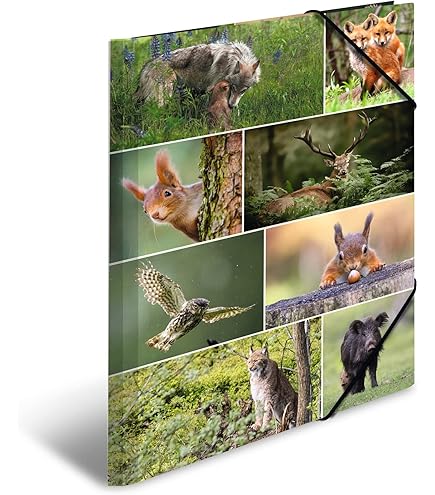 HERMA 19335 Cartella Raccoglitore A3 Con Pinguini - Con Elastici | Serie Animali - Foto 11