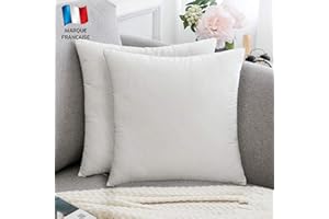 Douceur De Plumes Lot de 2 Housse de Coussin décorative Blanc Pur Velours 45x45 cm Uni, Taie d'oreiller Carré Doux et Moderne, Décoration Salon Scandinave Canapé Chambre Lit Sol (2 Blanc)