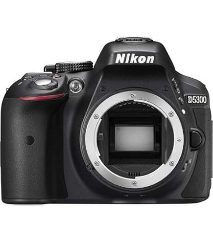Nikon D5300 Appareils Photo Numériques 24.78 Mpix Noir : Amazon.fr