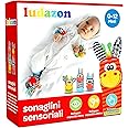 LUDAZON® Sonaglini Sensoriali per lo sviluppo delle capacità intellettive, Giochi Neonato Montessori, Sonaglio in Morbido Pel