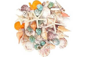 YSWOVUO 10 Tipi Conchiglie Marine Miste e 3 Tipi Stelle Marine, Conchiglie Naturali per Spiaggia, Conchiglia a Spirale Perline Non Forate, Conchiglie Decorative per Riempitivi di Vaso Feste Acquario
