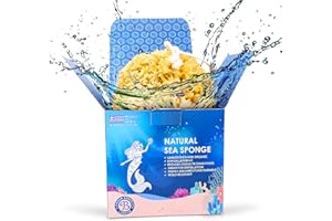 Jordan Benedict Natürlicher Meeresschwamm, Ungebleichter Badeschwamm mit Wabenstruktur, Peeling-Duschschwamm für Erwachsene, Mittel Bio- und Naturschwamm (1 Stück)