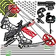 ZSHJGJR Archery Compound bow Set Bow and Arrow Set, 45lbs Mini Compoundbow Set for Steel Balls and Arrows, Compound bow for Adult Beginner Hunting RH&LH Mini Bow