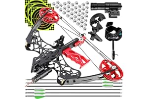 ZSHJGJR Compoundbogen Mini Stahlkugel Bogen 45lbs Compoundbogenset bogenschießen Bogen und Pfeil Jagdbogen Stahl Ball Compound bögen Bogen für Erwachsene Anfänger Bogen Jagd Sportbogen