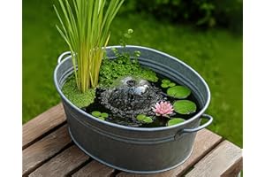 Garnelio Miniteich Pflanzen Set - Seerose Nymphaea Sulphurea vorgezogen in Kokosfaser - 3 Schwimmpflanzen - Seerosen-Dünger 25 Kapseln - Perfekt für Zinkwanne & Kübel - Pinke Seerose