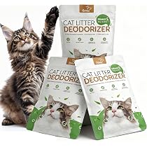 Bac à Litière Chat XXL En Acier Inoxydable - Avec Couvercle à 105° Et Désodorisation - Capacité 80L - Dimensions 60.5x40.5x39.5 Cm