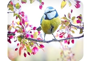 Blue Tit Blossom - Glass Worktop Saver/Protector | Kitchen Cutting Board - by Pearl Glass (50 x 40cm Large)